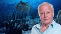 David Attenborough - L'origine della vita