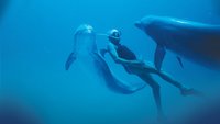 Dolphin Man - L'uomo delfino