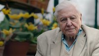 David Attenborough - La melodia della natura
